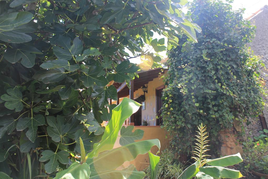 Casa Rural Las Rosas Agulo Δωμάτιο φωτογραφία