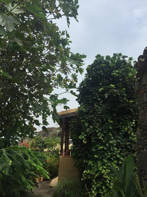 Casa Rural Las Rosas Agulo Εξωτερικό φωτογραφία