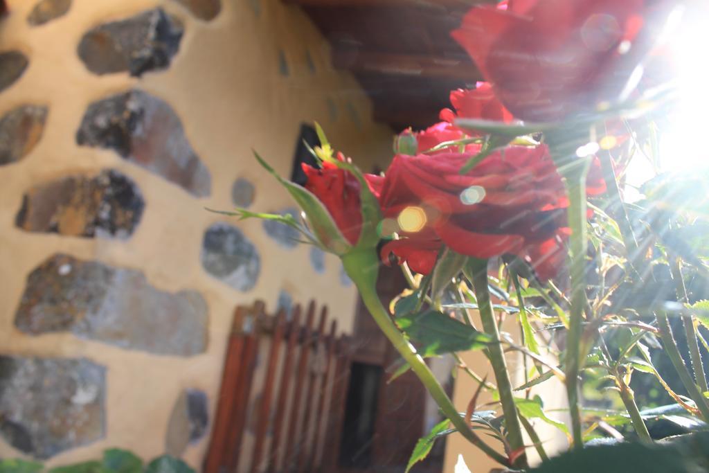 Casa Rural Las Rosas Agulo Εξωτερικό φωτογραφία