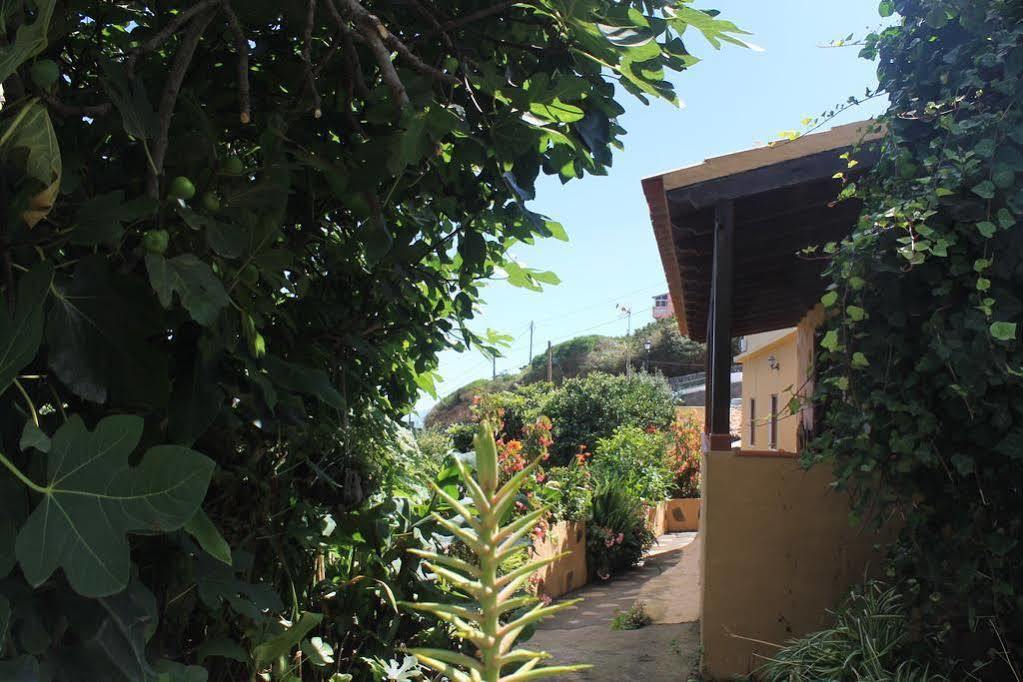 Casa Rural Las Rosas Agulo Εξωτερικό φωτογραφία